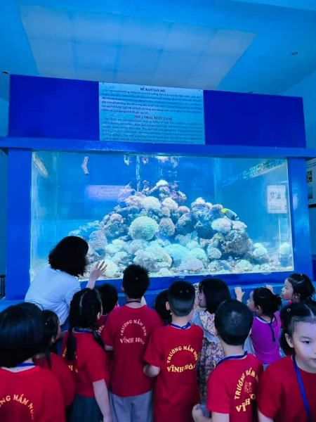 Các cháu 4-6 tuổi Tham quan Viện Hải Dương Học Nha Trang