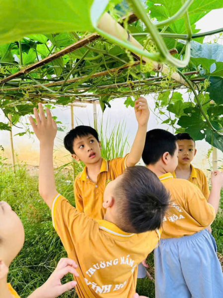 Khối MG 5-6 tuổi tham quan Trường Tiểu học Vĩnh Hoà 1- Nha Trang